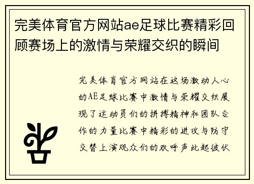 完美体育官方网站ae足球比赛精彩回顾赛场上的激情与荣耀交织的瞬间